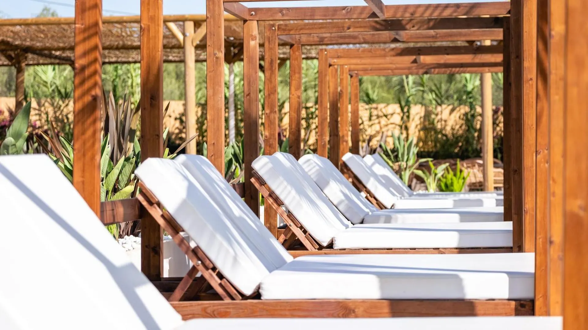 Hotel Ankaa - Adults Only Porto Cristo